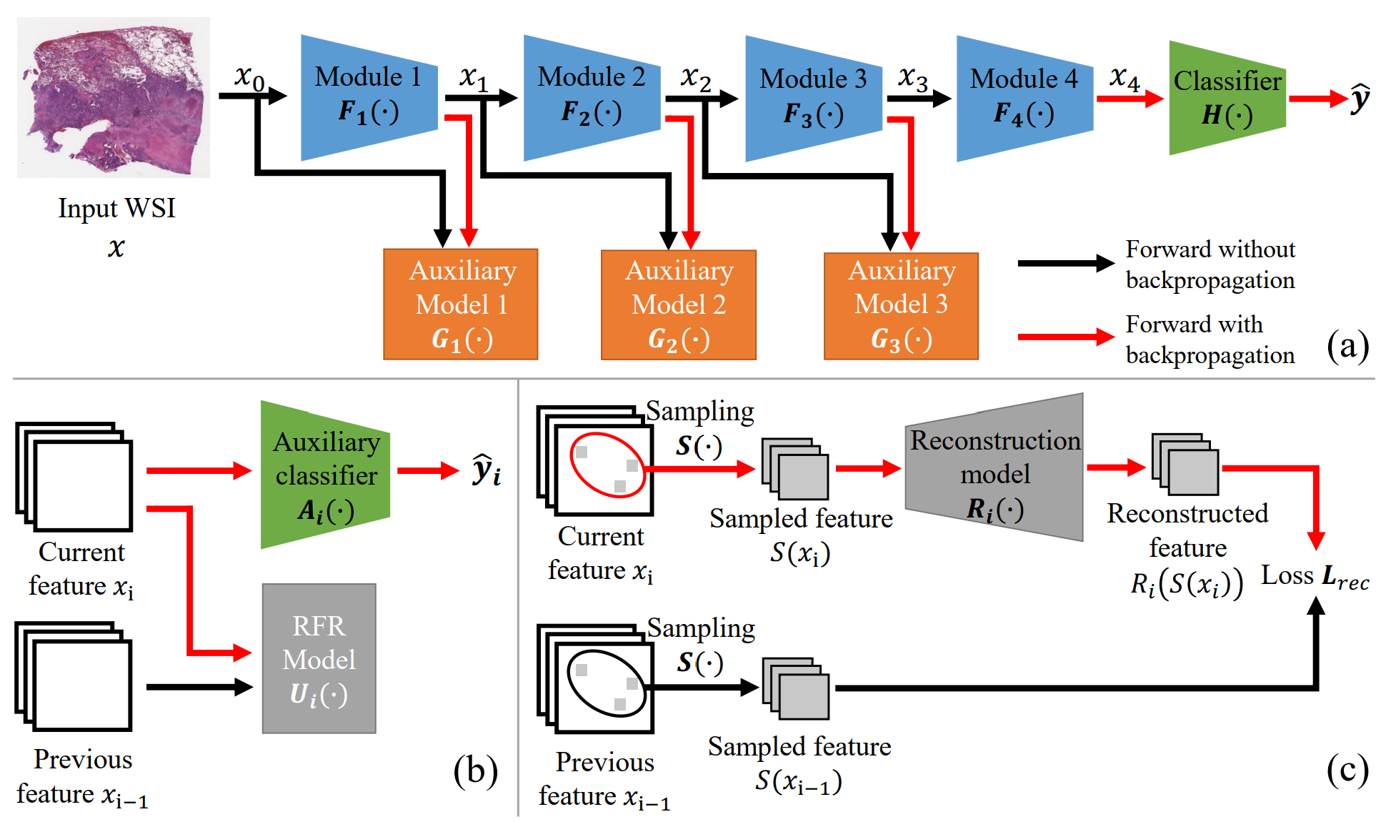Locally supervised learning framework for whole-slide image classification